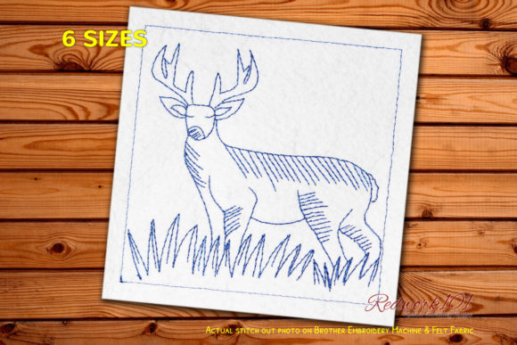 Beautiful Deer Standing on the Grass: Apparel Review